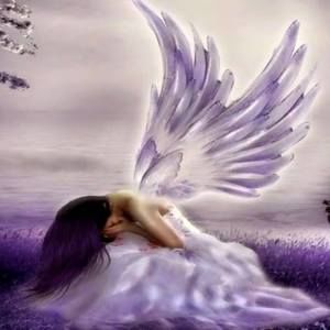 Meet your Posher, Martha